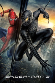 មនុស្សពីងពាង វគ្គ ៣ | Spider-Man 3